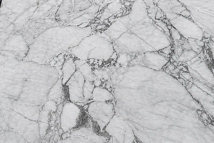 Photograph, close-up: a polished Sereno & Nevato sample, its white crystalline ground crossed by a network of grey veins.