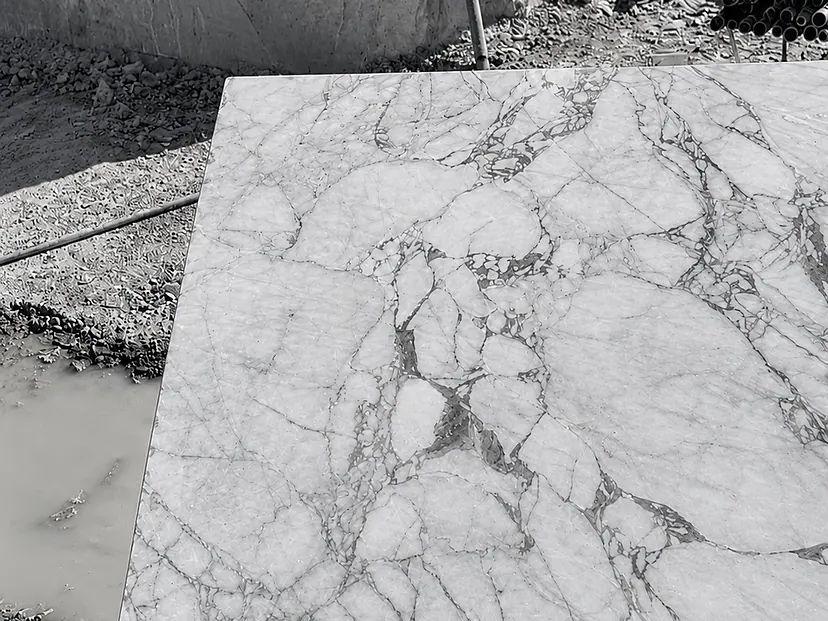 Photograph: a polished Sereno & Nevato sample lying at the quarry face, its white crystalline ground crossed by a breccia-like network of grey veins, with the raw sawn quarry wall behind.