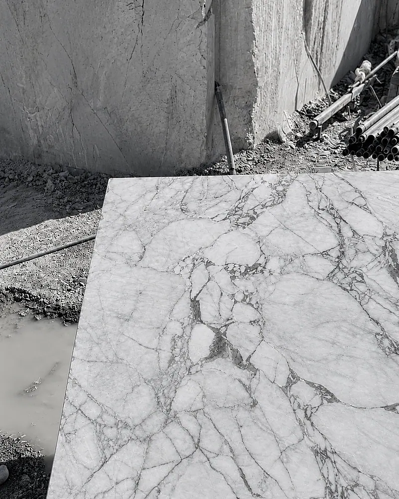 Photograph: a polished Sereno & Nevato sample lying at the quarry face, its white crystalline ground crossed by a breccia-like network of grey veins, with the raw sawn quarry wall behind.