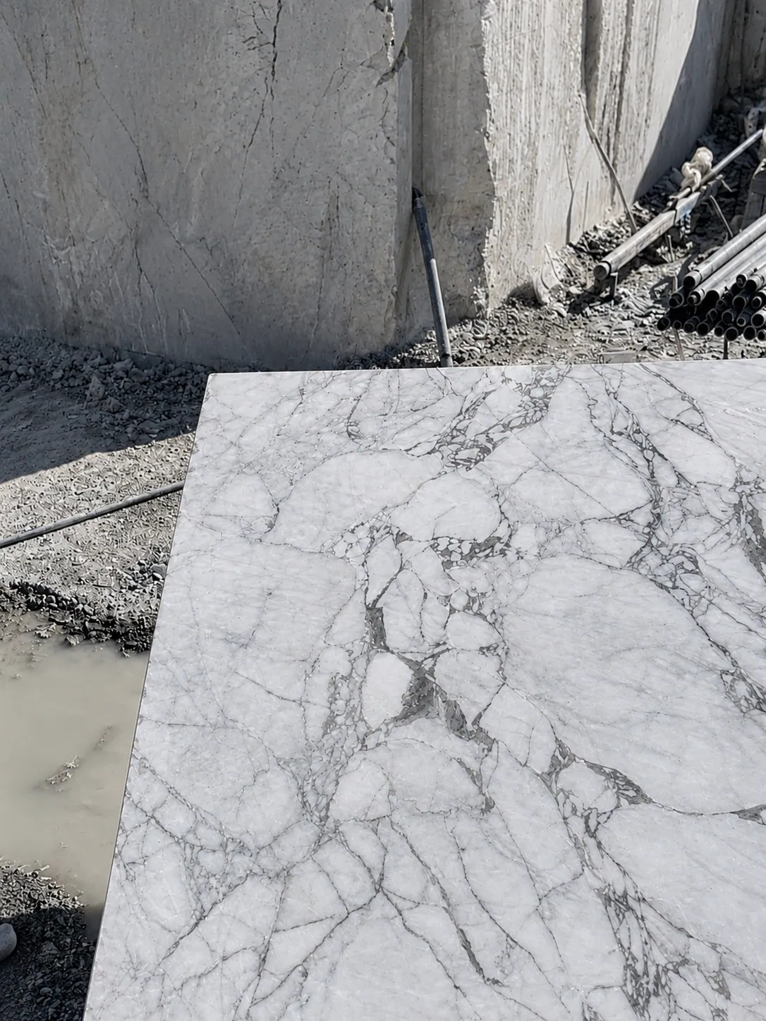 Photograph: a polished Sereno & Nevato sample lying at the quarry face, its white crystalline ground crossed by a breccia-like network of grey veins, with the raw sawn quarry wall behind.
