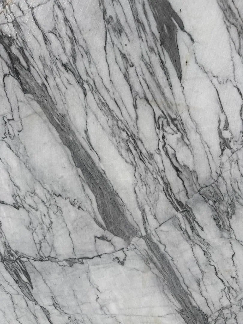 Photograph: polished Sereno & Nevato, close-up.